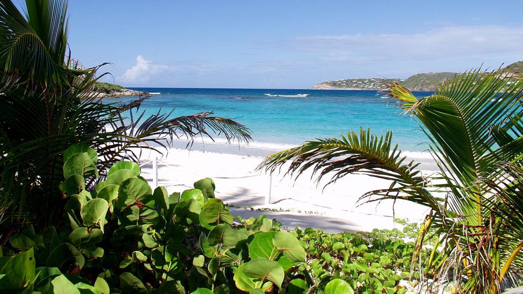 Tropical Hotel St Barth Gustavia Exterior foto